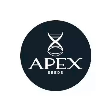 Prodotti Apex Seeds